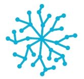 Neuronic Systems logo